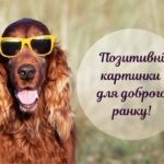 доброго ранку картинки