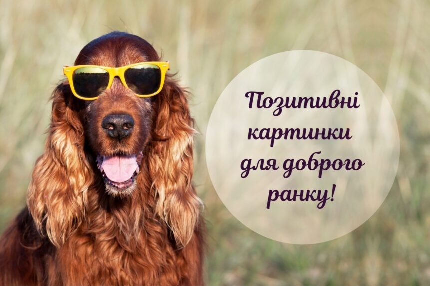 доброго ранку картинки