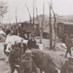 операція вісла