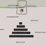 пирамида маслоу