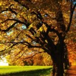 осіннє рівнодення