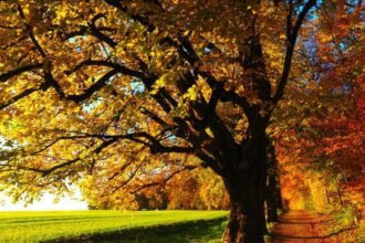 осіннє рівнодення