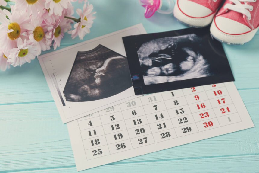 календар вагітності