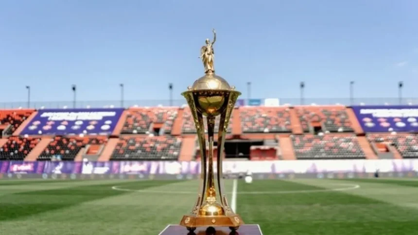 кубок україни з футболу